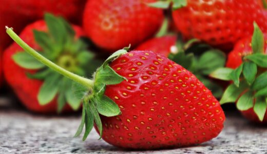 市原市周辺でおすすめのいちご狩りスポットは？